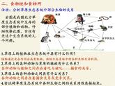 北师大版生物八年级下册 8.23.3 生态系统的结构和功能(3) 课件