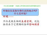 北师大版生物八年级下册 8.23.1 生物的生存依赖一定的环境(10) 课件