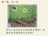 北师大版生物八年级下册 8.23.1 生物的生存依赖一定的环境(10) 课件