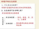 北师大版生物八年级下册 8.23.1 生物的生存依赖一定的环境(10) 课件