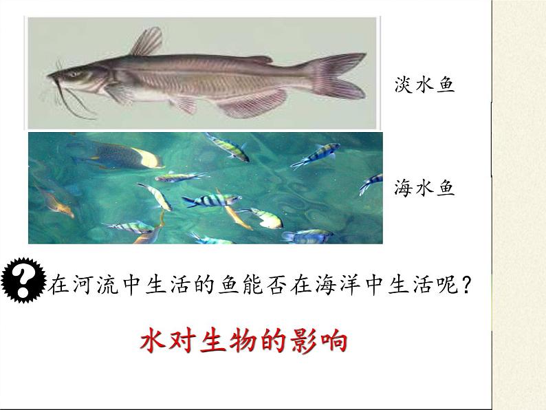 北师大版生物八年级下册 8.23.1 生物的生存依赖一定的环境(10) 课件第7页