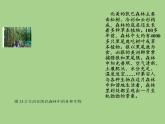 北师大版生物八年级下册 8.23.2 生态系统概述(5) 课件