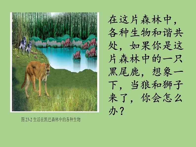 北师大版生物八年级下册 8.23.2 生态系统概述(5) 课件第3页