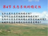 北师大版生物八年级下册 8.23.4 生态系统的稳定性(10) 课件