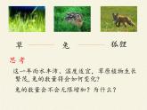 北师大版生物八年级下册 8.23.4 生态系统的稳定性(10) 课件