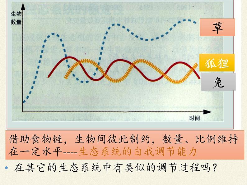 北师大版生物八年级下册 8.23.4 生态系统的稳定性(10) 课件第7页