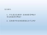 北师大版生物八年级下册 8.23.2 生态系统概述 课件