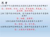 北师大版生物八年级下册 8.23.2 生态系统概述 课件