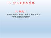北师大版生物八年级下册 8.23.2 生态系统概述 课件