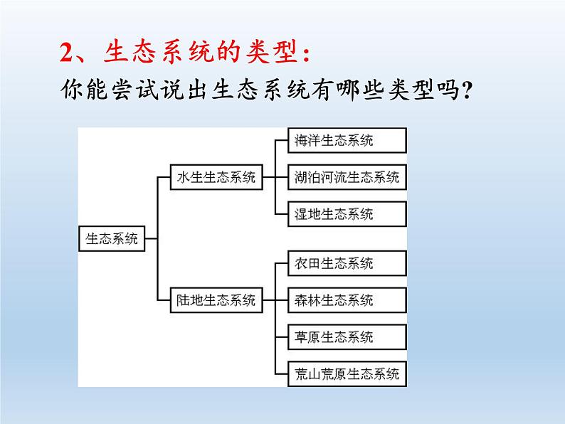 北师大版生物八年级下册 8.23.2 生态系统概述 课件第8页