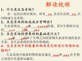 北师大版生物八年级下册 8.23.3 生态系统的结构和功能(2) 课件