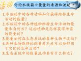 北师大版生物八年级下册 8.23.3 生态系统的结构和功能(2) 课件