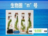 北师大版生物八年级下册 8.23.4 生态系统的稳定性 (2) 课件