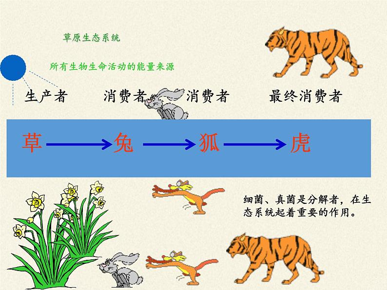 北师大版生物八年级下册 8.23.4 生态系统的稳定性(9) 课件第6页