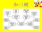 北师大版生物八年级下册 8.23.4 生态系统的稳定性(12) 课件