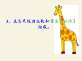 北师大版生物八年级下册 8.23.4 生态系统的稳定性(12) 课件