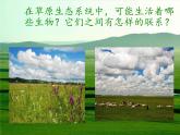 北师大版生物八年级下册 8.23.4 生态系统的稳定性(8) 课件