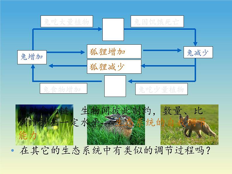 北师大版生物八年级下册 8.23.4 生态系统的稳定性(8) 课件第6页