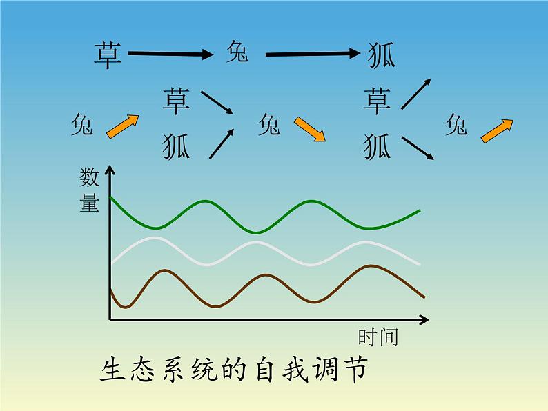 北师大版生物八年级下册 8.23.4 生态系统的稳定性(8) 课件第7页