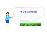 北师大版生物八年级下册 8.23.4 生态系统的稳定性_ 课件