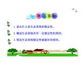 北师大版生物八年级下册 8.23.4 生态系统的稳定性_ 课件