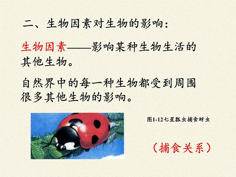 北师大版生物八年级下册 8.23.1 生物的生存依赖一定的环境(5) 课件第5页