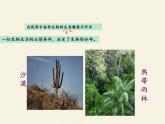 北师大版生物八年级下册 8.23.1 生物的生存依赖一定的环境(8) 课件