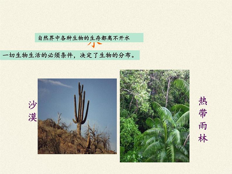 北师大版生物八年级下册 8.23.1 生物的生存依赖一定的环境(8) 课件04