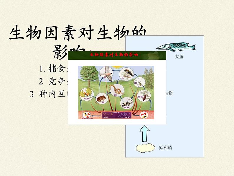 北师大版生物八年级下册 8.23.1 生物的生存依赖一定的环境(8) 课件08