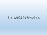 北师大版生物八年级下册 8.23.1 生物的生存依赖一定的环境(6) 课件