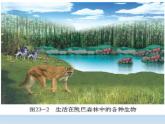 北师大版生物八年级下册 8.23.1 生物的生存依赖一定的环境(6) 课件