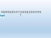 北师大版生物八年级下册 8.23.1 生物的生存依赖一定的环境(6) 课件