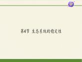 北师大版生物八年级下册 8.23.4 生态系统的稳定性(13) 课件