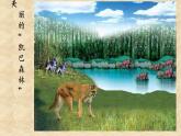 北师大版生物八年级下册 8.23.4 生态系统的稳定性(13) 课件