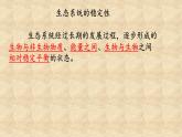 北师大版生物八年级下册 8.23.4 生态系统的稳定性(13) 课件