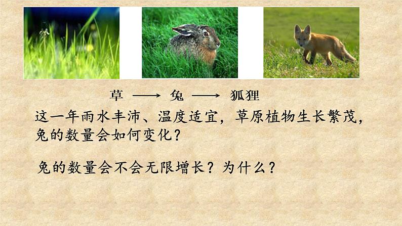 北师大版生物八年级下册 8.23.4 生态系统的稳定性(13) 课件第5页