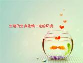 北师大版生物八年级下册 8.23.1 生物的生存依赖一定的环境_ 课件