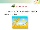 北师大版生物八年级下册 8.23.1 生物的生存依赖一定的环境_ 课件