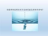 北师大版生物八年级下册 8.23.1 生物的生存依赖一定的环境(7) 课件