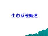 北师大版生物八年级下册 8.23.2 生态系统概述_ 课件