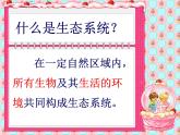 北师大版生物八年级下册 8.23.2 生态系统概述_ 课件