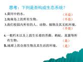 北师大版生物八年级下册 8.23.2 生态系统概述_ 课件
