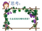 北师大版生物八年级下册 8.23.2 生态系统概述_ 课件