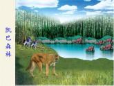 北师大版生物八年级下册 8.23.4 生态系统的稳定性(1) 课件
