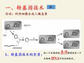 北师大版生物八年级下册 9.25.2 现代生物技术(2) 课件