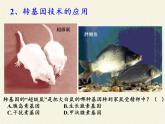 北师大版生物八年级下册 9.25.2 现代生物技术(2) 课件