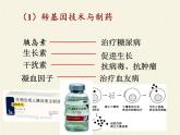 北师大版生物八年级下册 9.25.2 现代生物技术(2) 课件