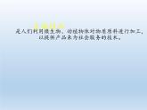 北师大版生物八年级下册 9.25.1 发酵技术(2) 课件