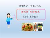 北师大版生物八年级下册 9.25.1 发酵技术(4) 课件