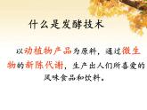 北师大版生物八年级下册 9.25.1 发酵技术(4) 课件